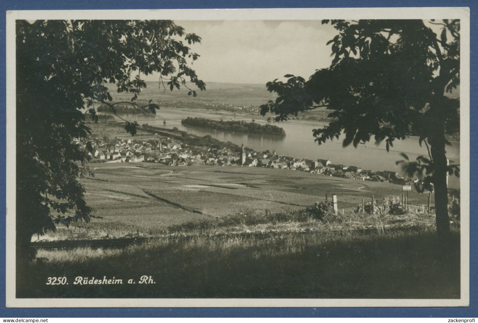 Rüdesheim Am Rhein Gesamtansicht Foto, Gelaufen 1934 (AK1147) - Ruedesheim A. Rh.