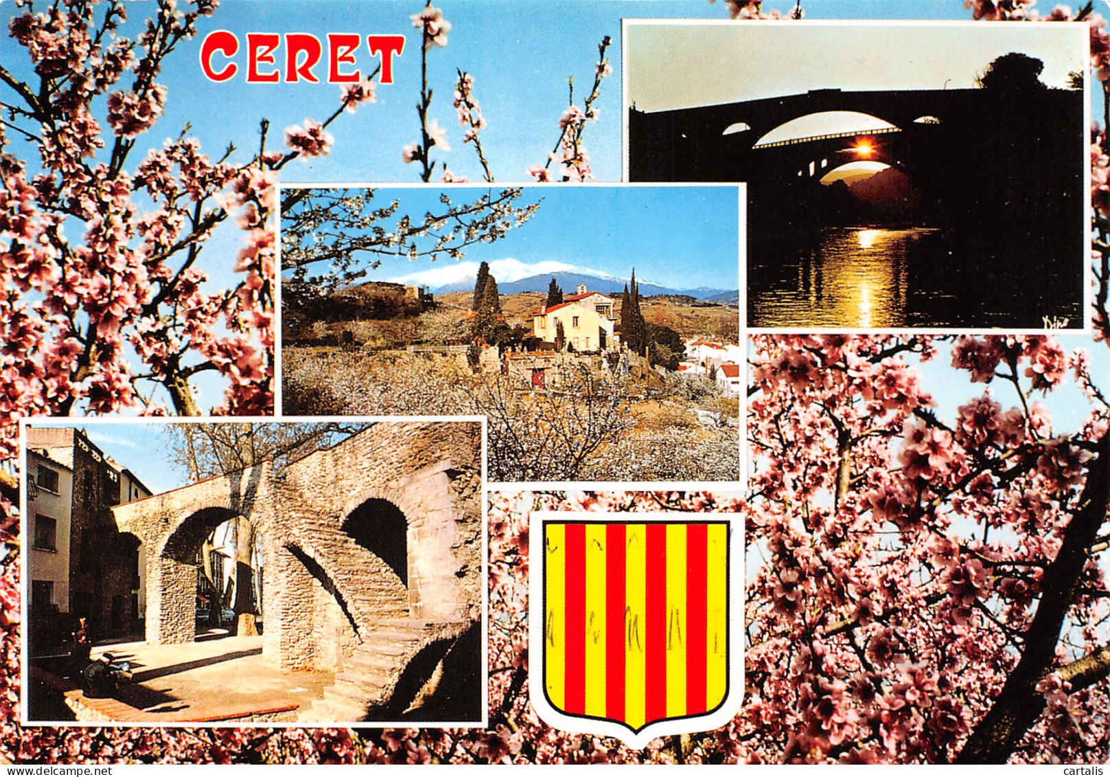 66-CERET-N°3774-D/0319 - Ceret