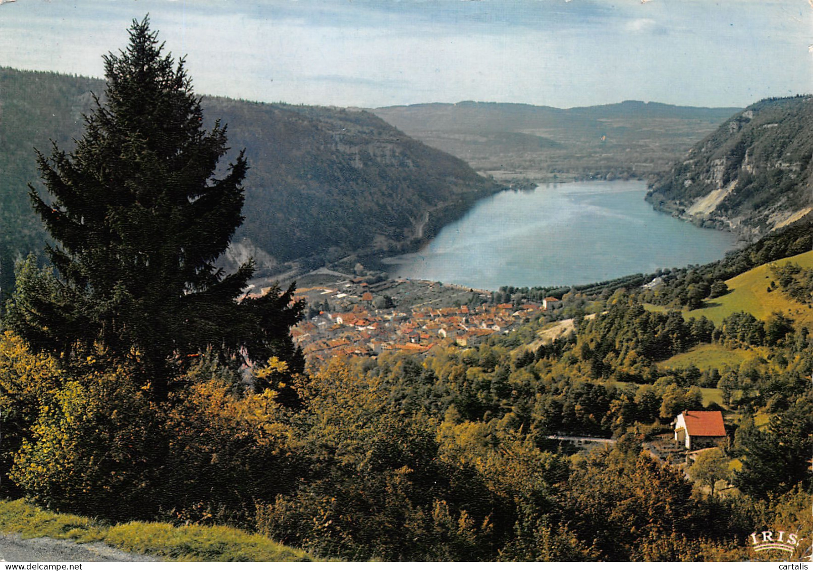 01-NANTUA-N°3774-D/0135 - Nantua