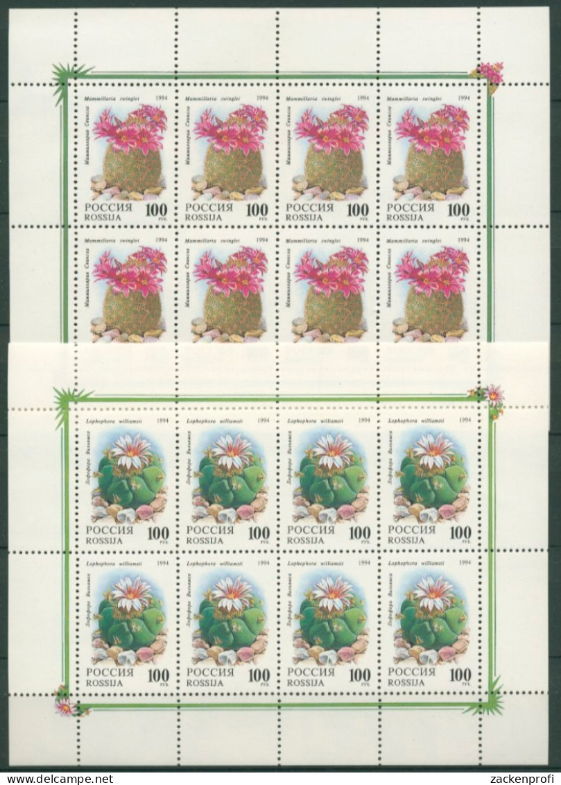 Russland 1994 Kakteen Kleinbogensatz 364/65 K Postfrisch (C16901) - Blocchi & Fogli