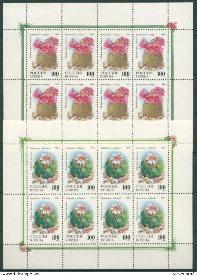 Russland 1994 Kakteen Kleinbogensatz 364/65 K Postfrisch (C16901) - Blocs & Feuillets