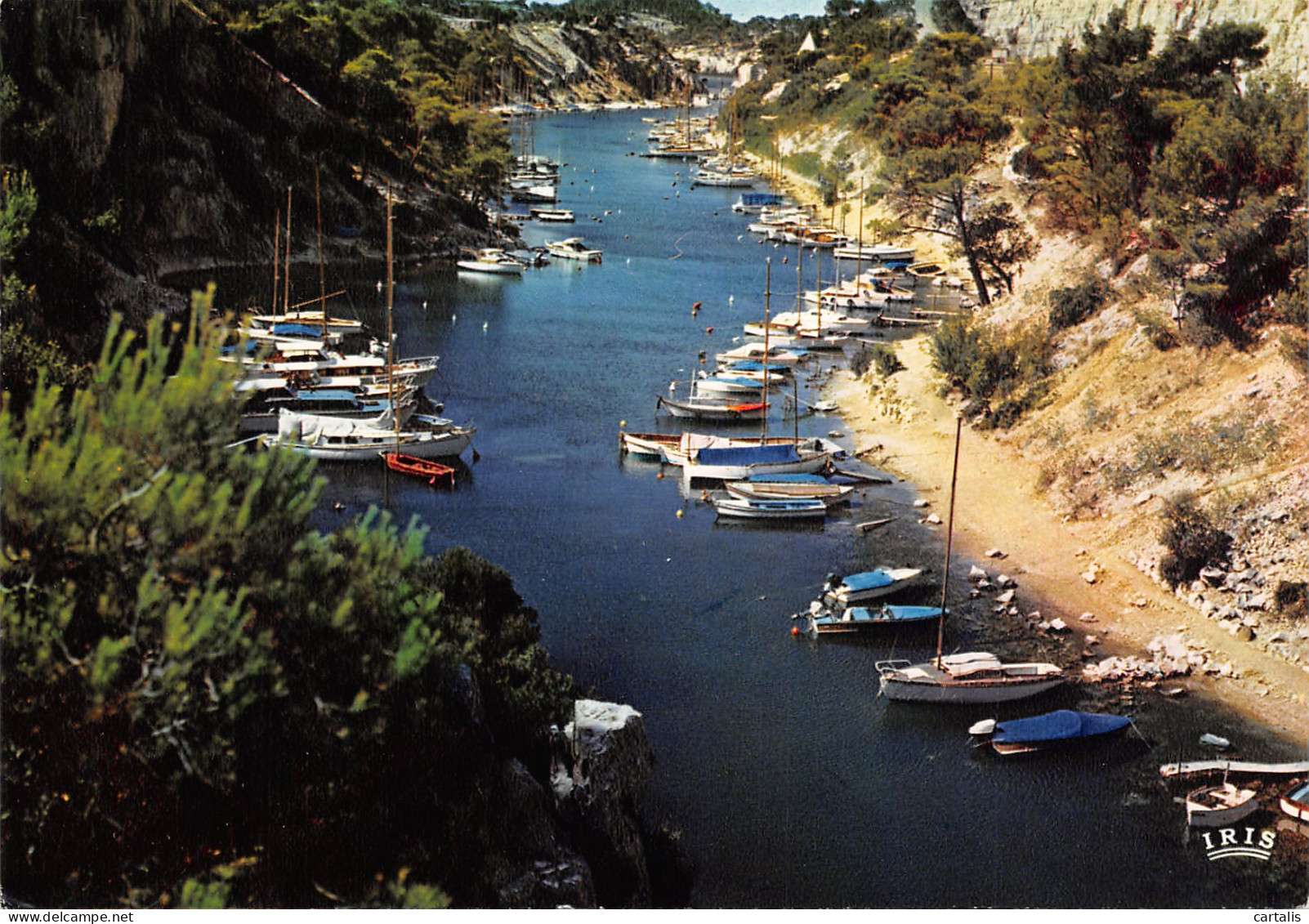 13-CASSIS SUR MER-N°3775-C/0317 - Cassis