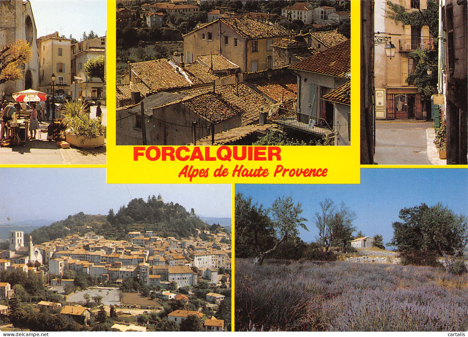 04-FORCALQUIER-N°3775-C/0273 - Forcalquier