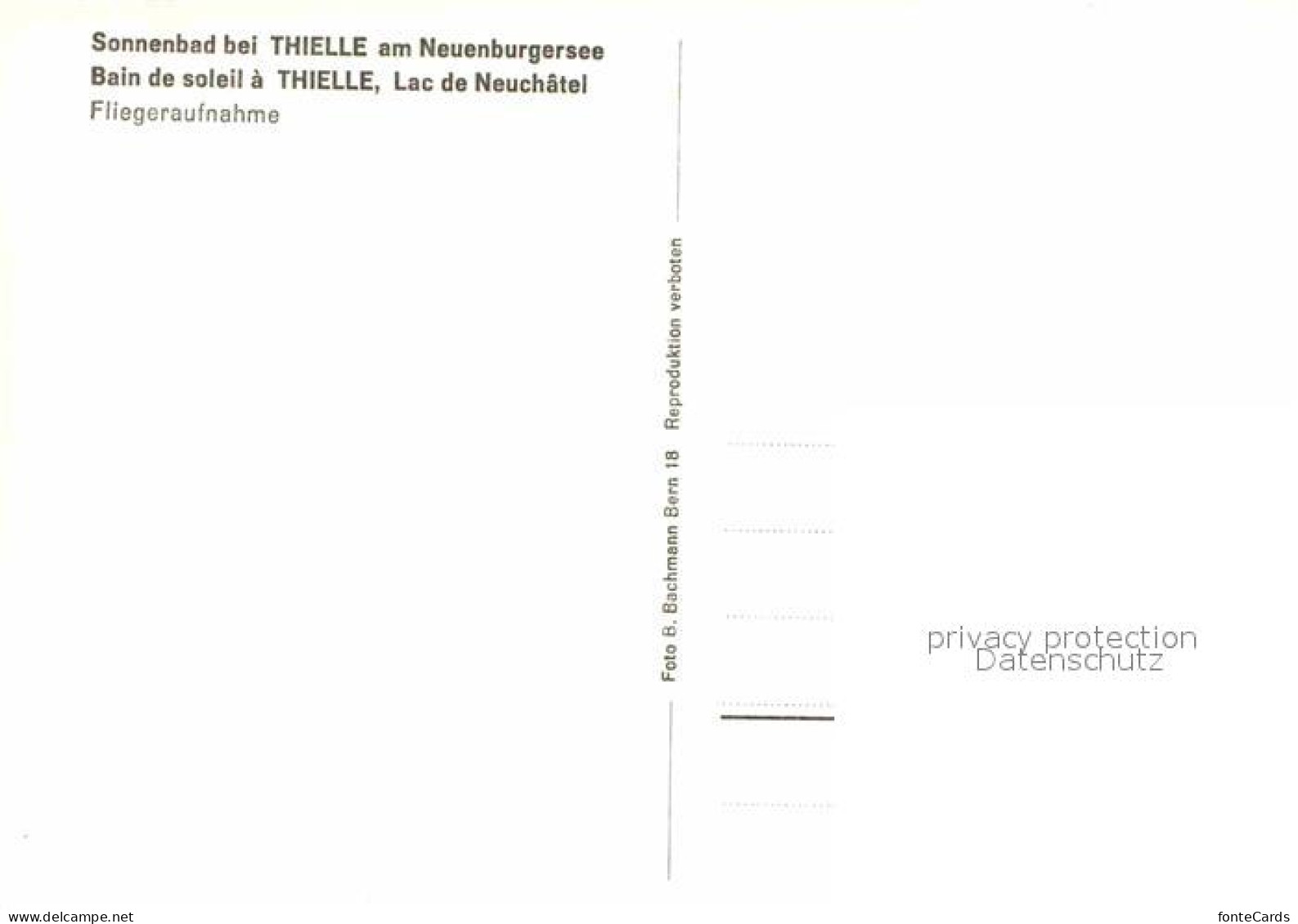 12894558 Thielle Fliegeraufnahme Thielle - Other & Unclassified