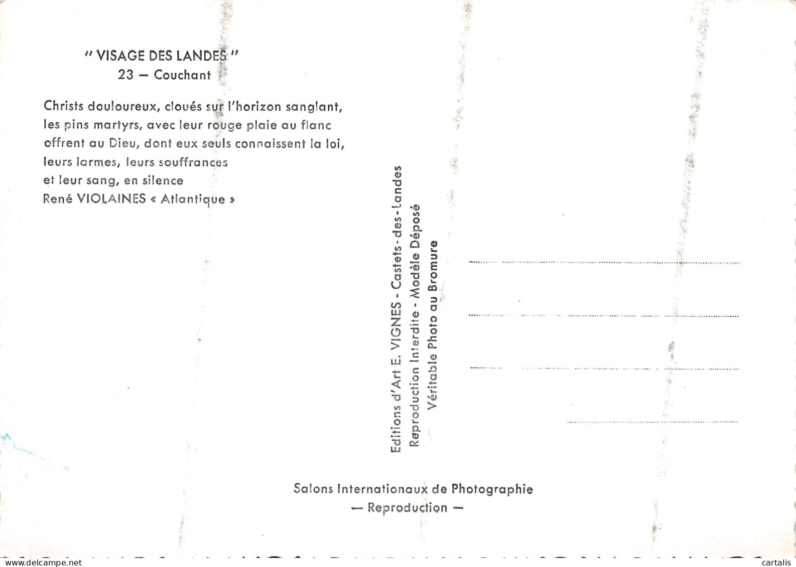 40-PAYSAGE LANDAIS-N°3775-B/0037 - Other & Unclassified