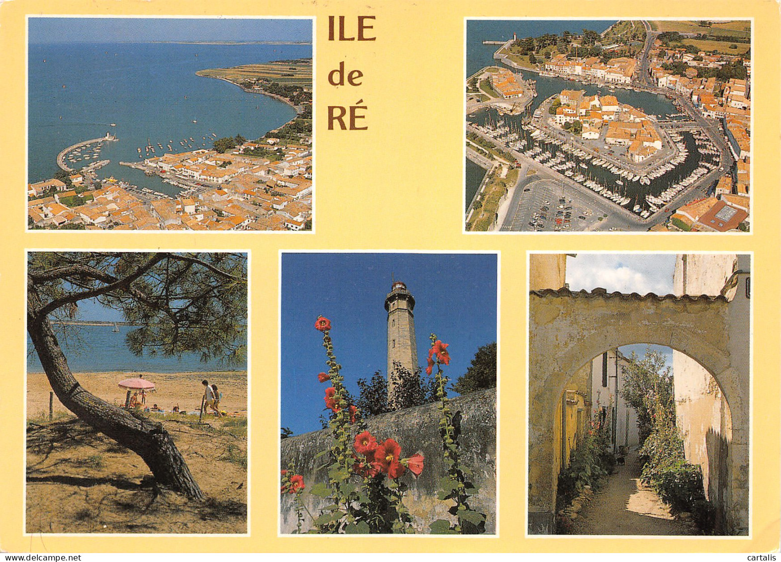 17-ILE DE RE-N°3775-B/0031 - Ile De Ré