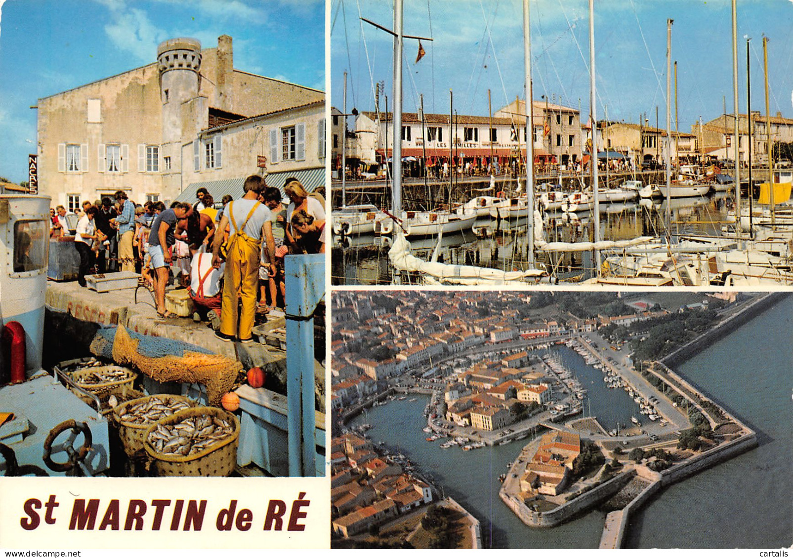 17-ILE DE RE-N°3775-B/0023 - Ile De Ré