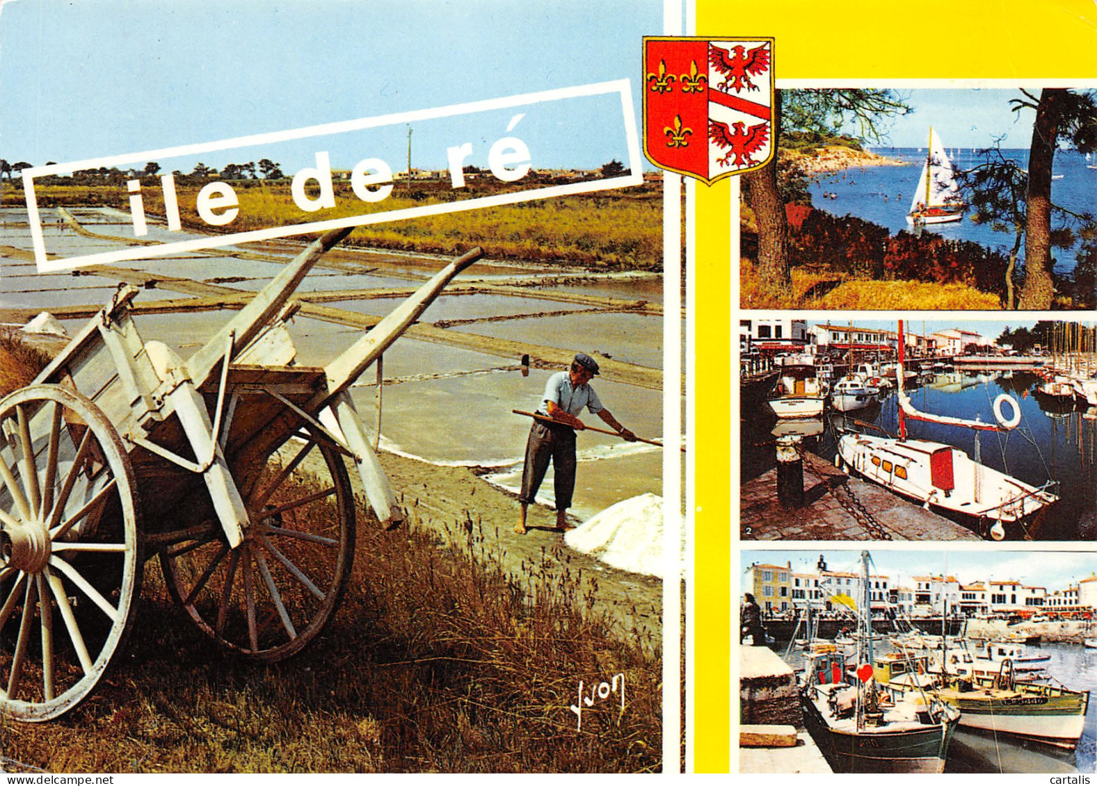 17-ILE DE RE-N°3775-A/0181 - Ile De Ré