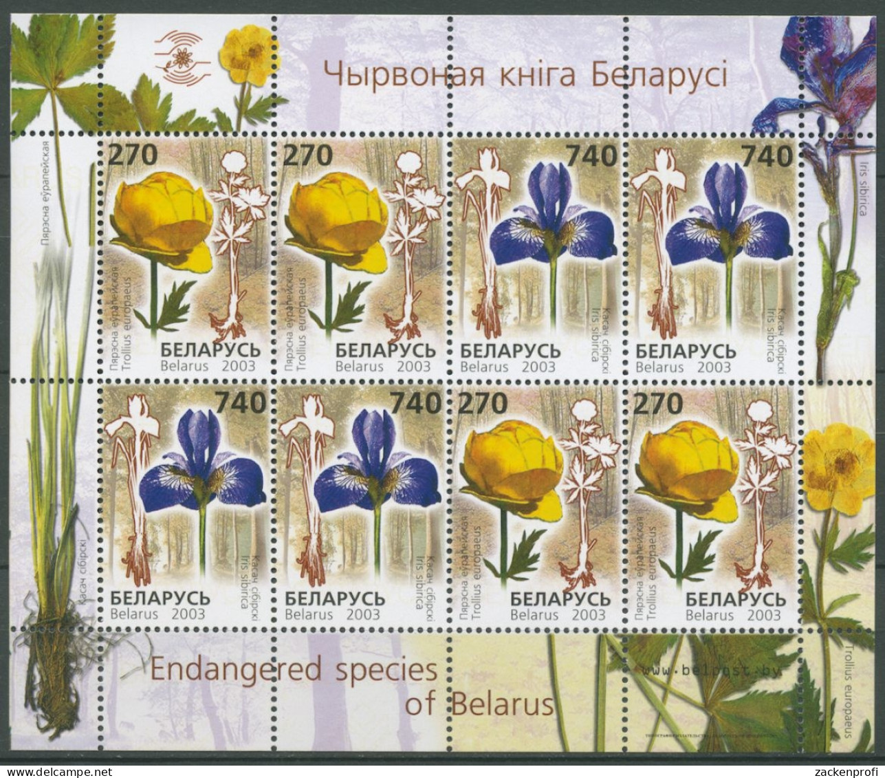 Weißrussland 2003 Blumen Trollblume Schwertlilie 490/91 K Postfrisch (C28372) - Belarus