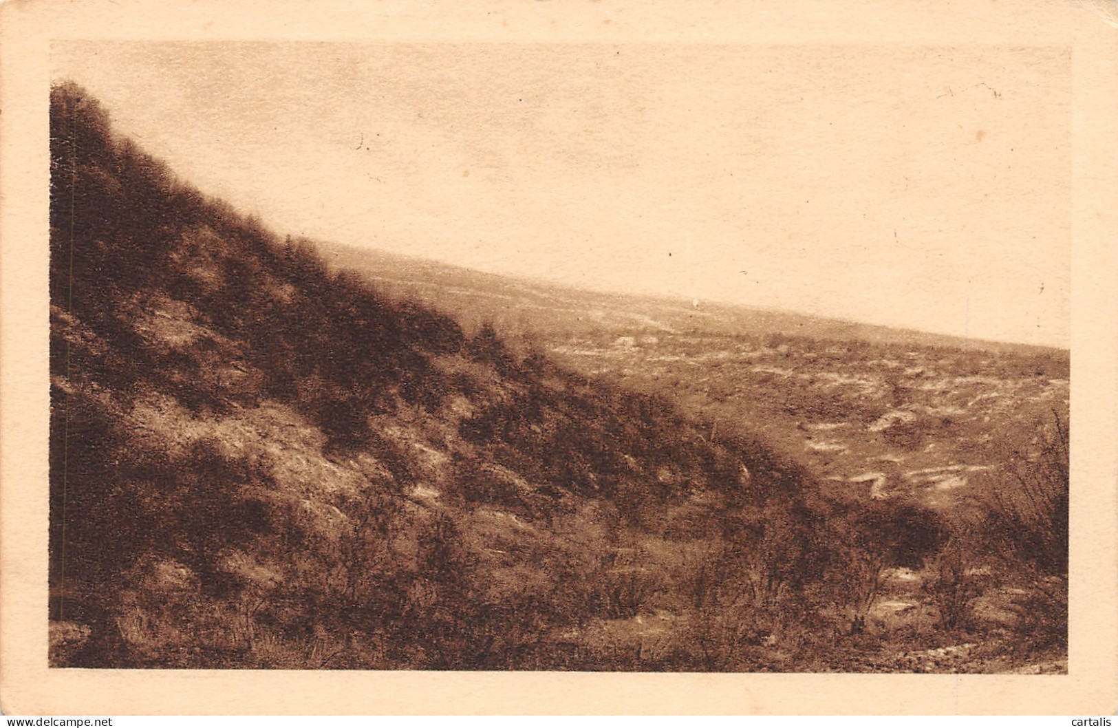 55-DOUAUMONT-N°3775-E/0261 - Douaumont