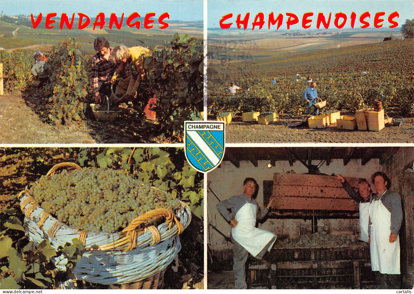 51-VENDANGES CHAMPENOISES-N°3775-D/0089 - Autres & Non Classés