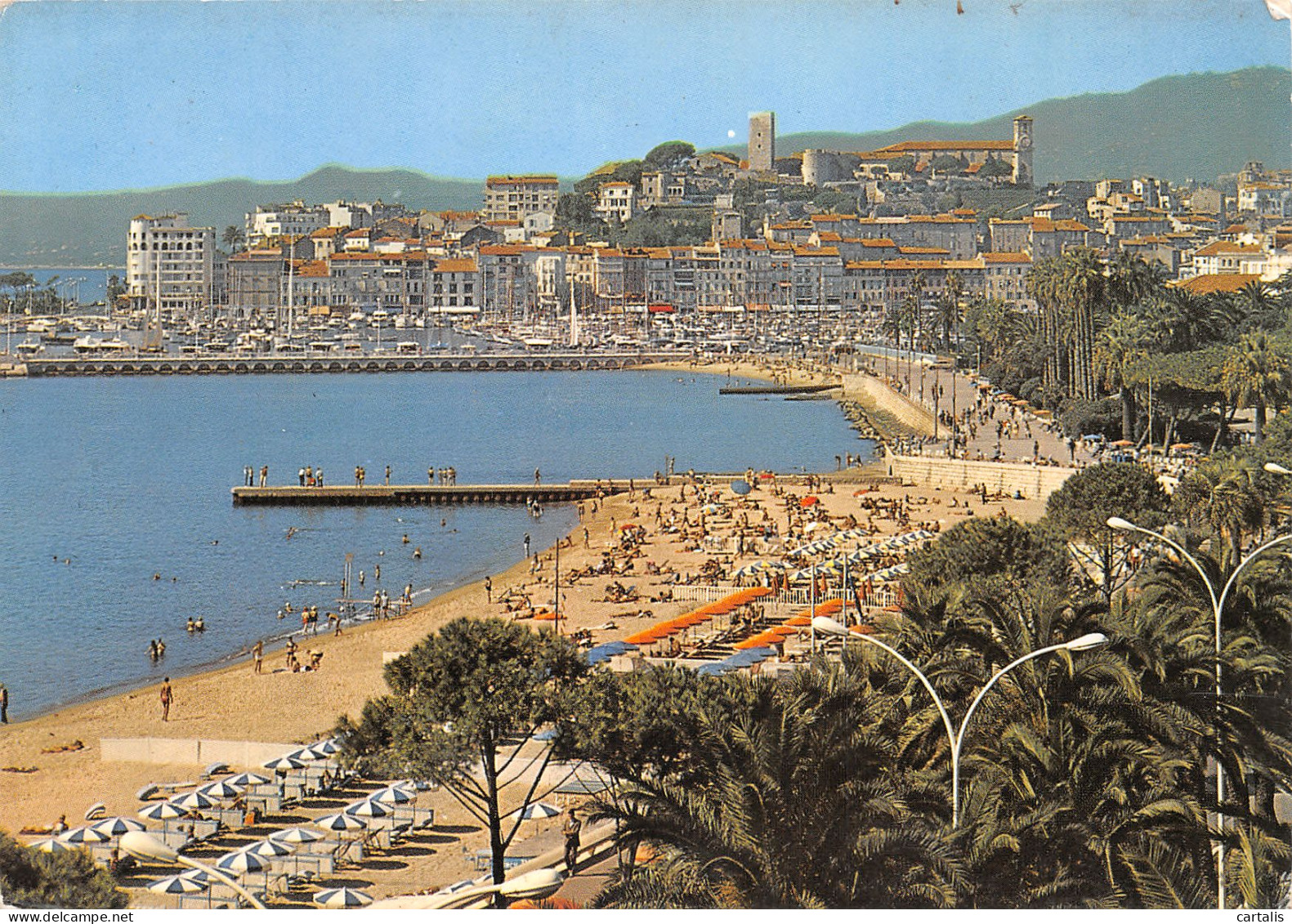 06-CANNES-N°3776-C/0287 - Cannes