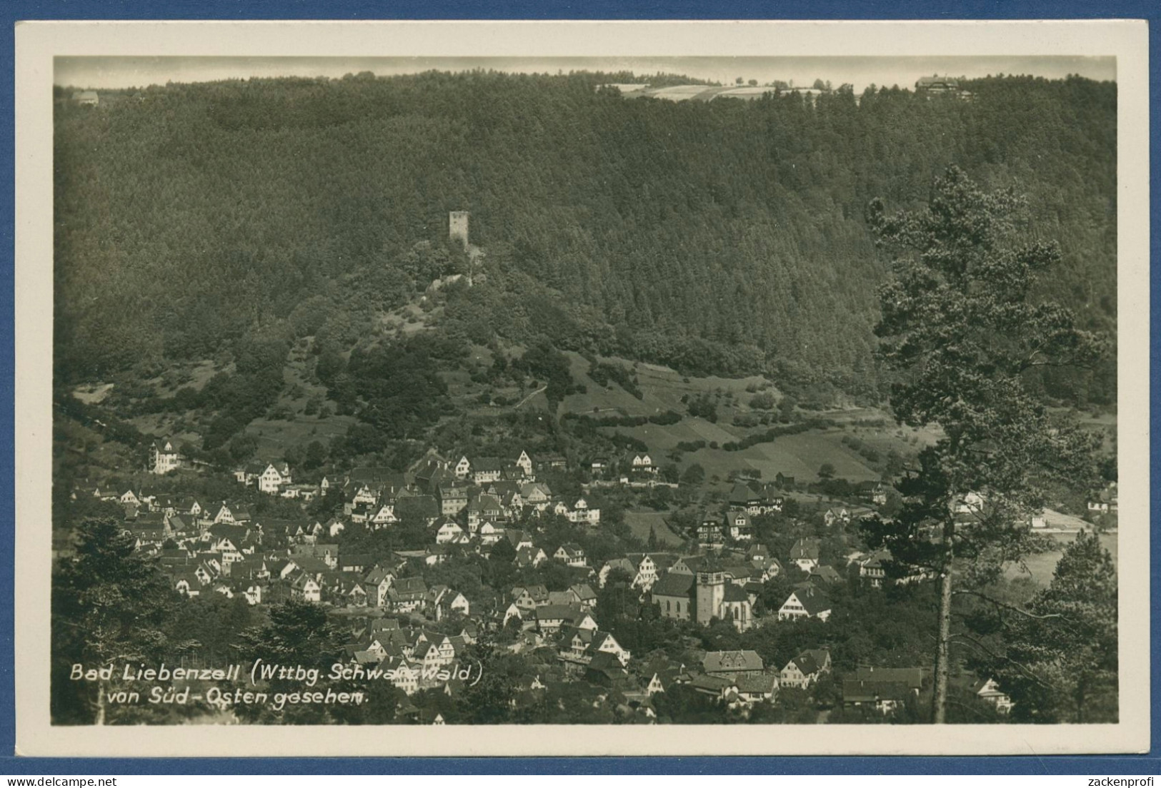 Bad Liebenzell Von Südosten Gesehen, Ungebraucht (AK3317) - Calw