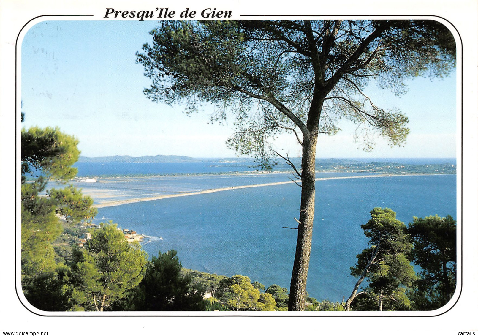 83-HYERES LES PALMIERS-N°3776-B/0283 - Hyeres