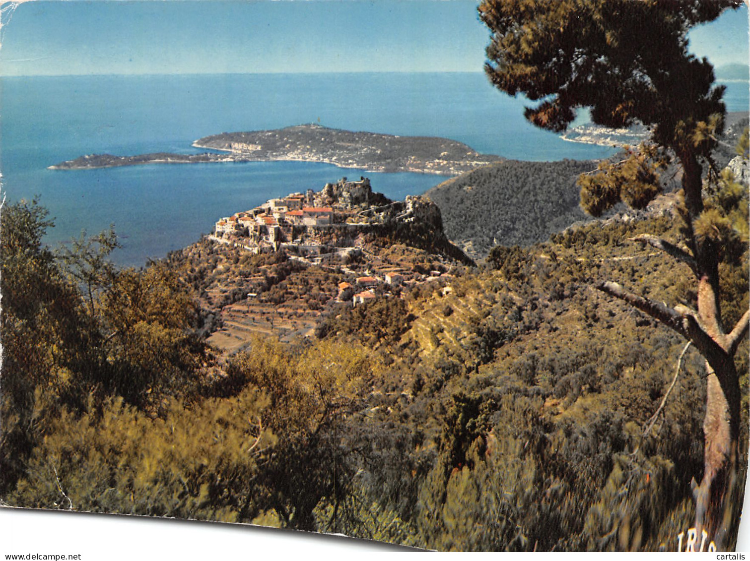 06-EZE-N°3776-B/0185 - Eze