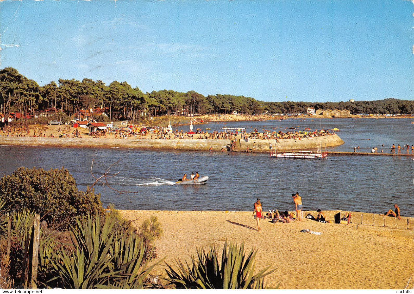 40-HOSSEGOR-N°3777-A/0231 - Hossegor