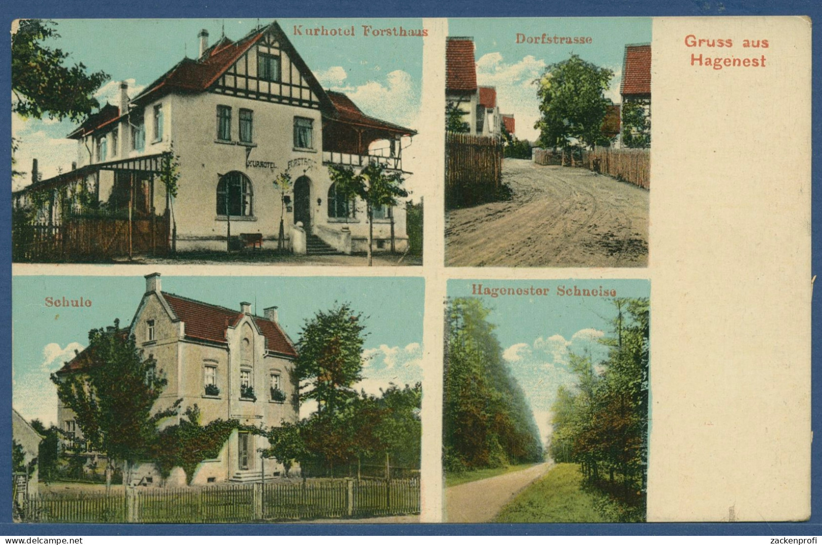 Gruß Aus Hagenest Schule Kurhotel Forsthaus, Gelaufen 1917 Als Feldpost (AK3340) - Leipzig