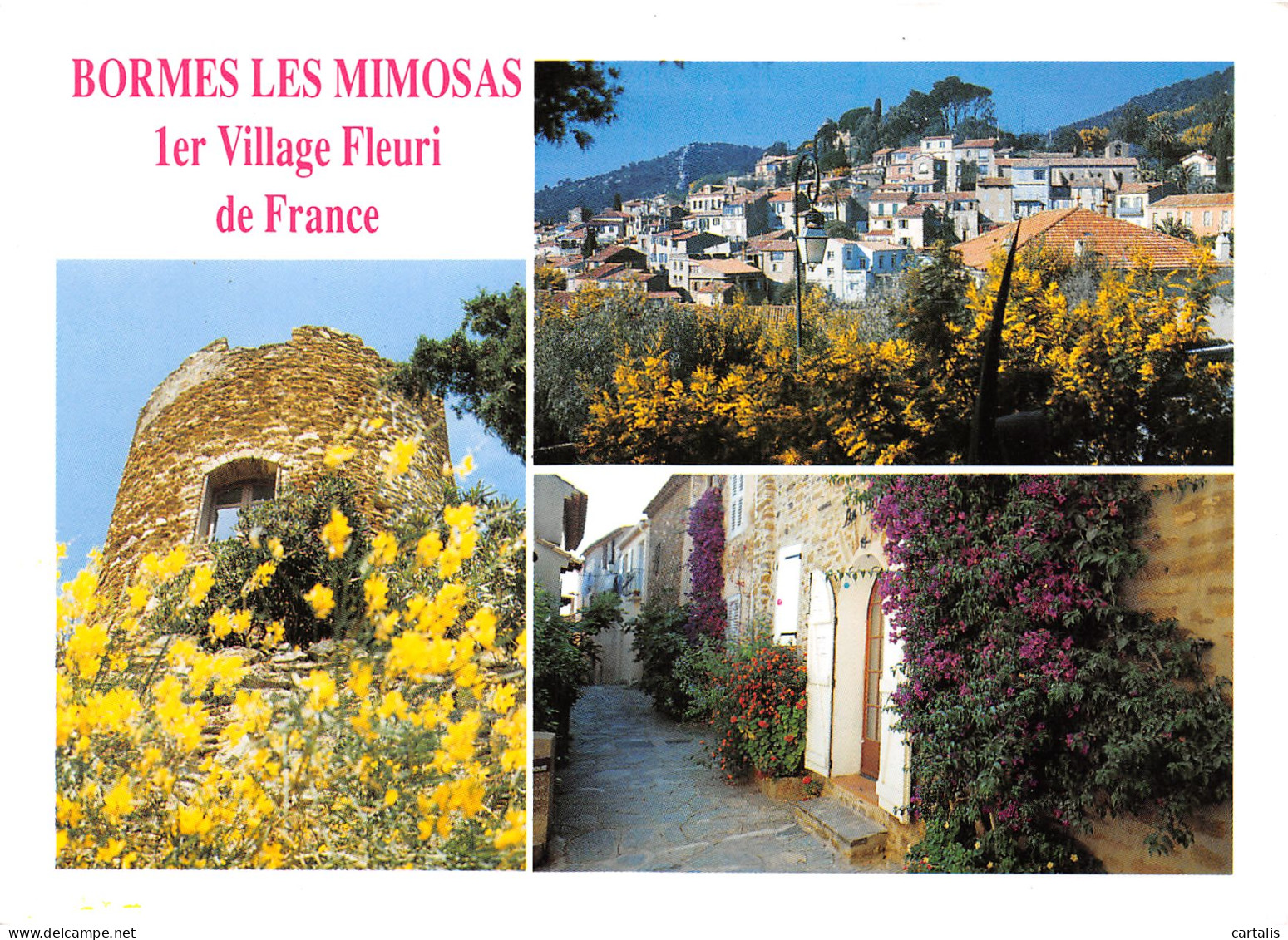 83-BORMES LES MIMOSAS-N°3776-D/0389 - Bormes-les-Mimosas