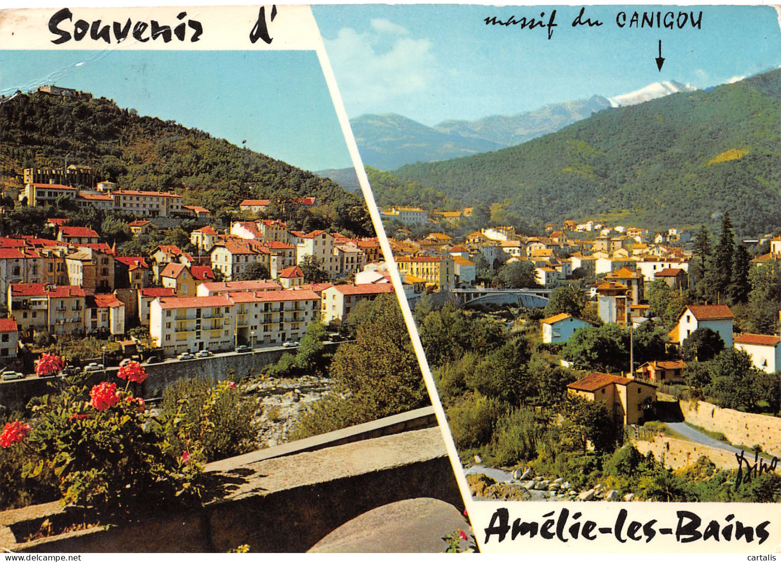 66-AMELIE LES BAINS-N°3777-D/0011 - Otros & Sin Clasificación