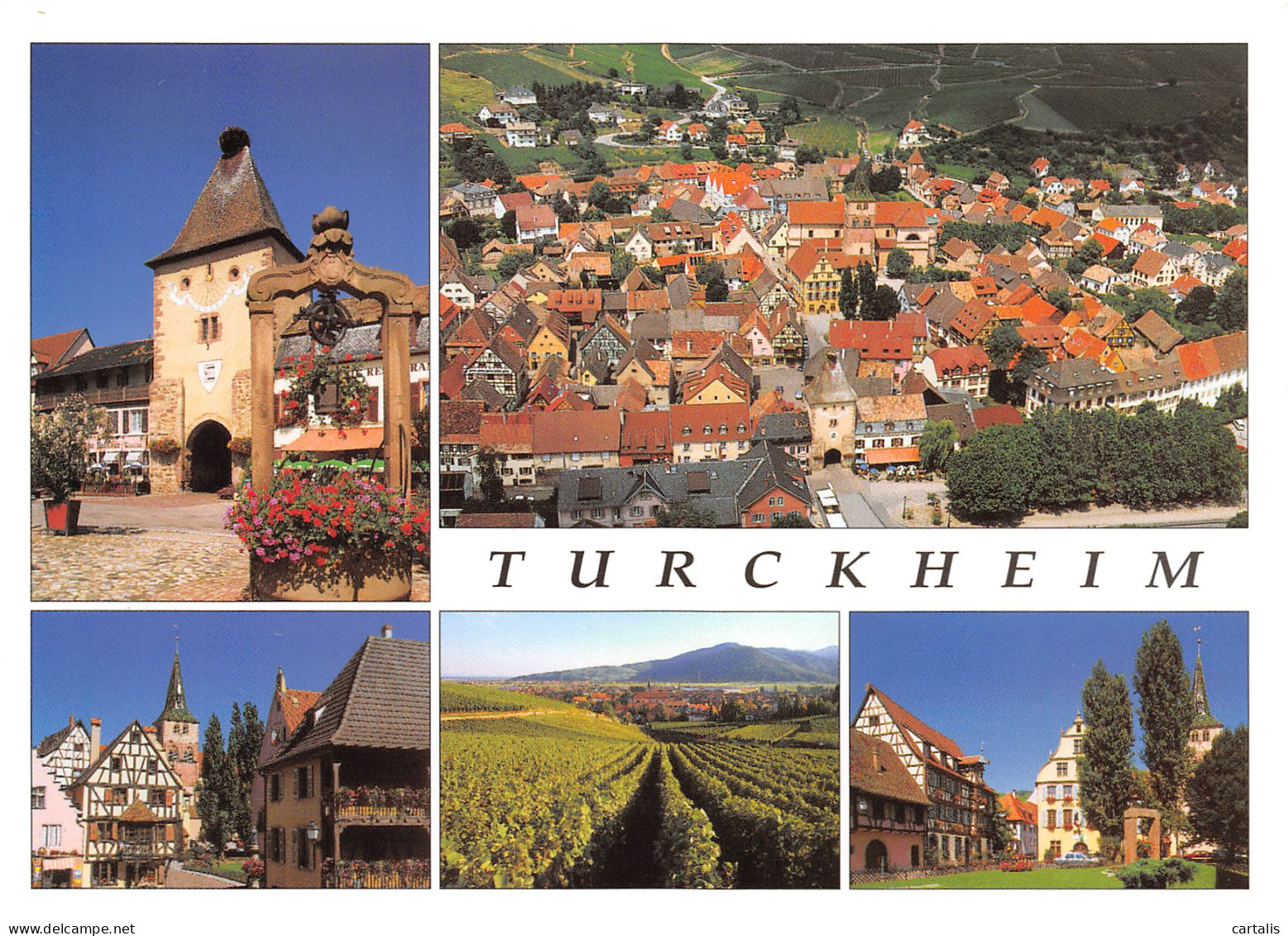 68-TURCKHEIM-N°3777-B/0365 - Turckheim
