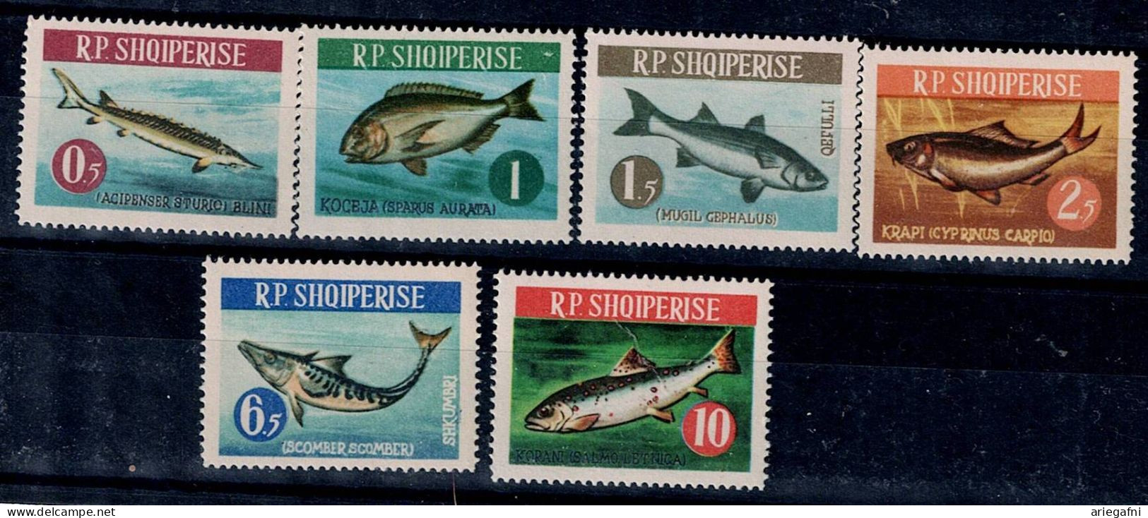 ALBANIA 1964 FISHES MI No 809-14 MNH VF!! - Albania