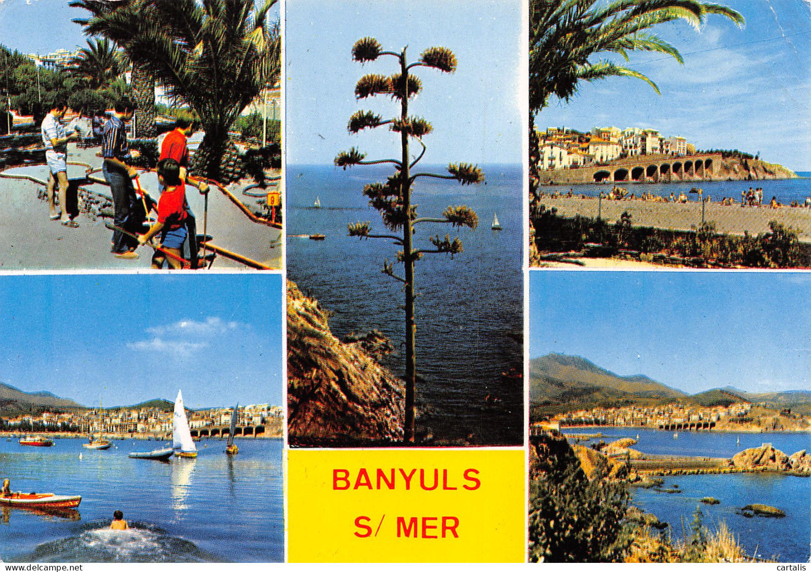 66-BANYULS SUR MER-N°3777-B/0087 - Banyuls Sur Mer