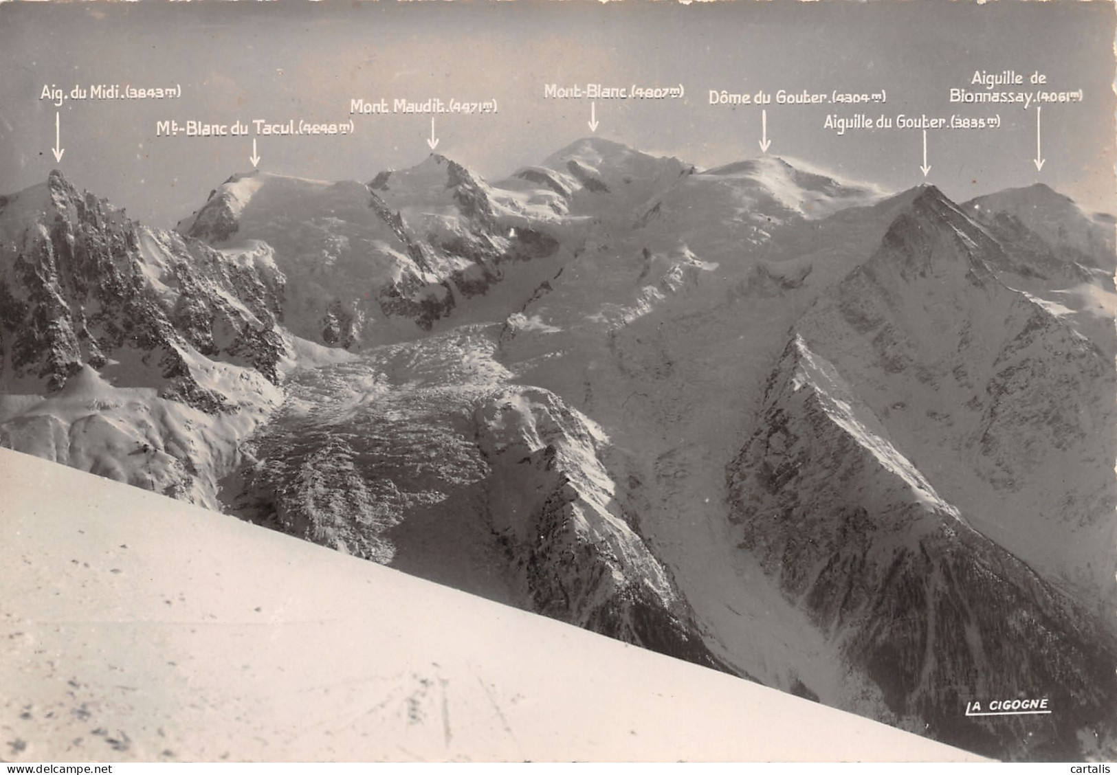 74-CHAMONIX-N°3777-B/0045 - Chamonix-Mont-Blanc