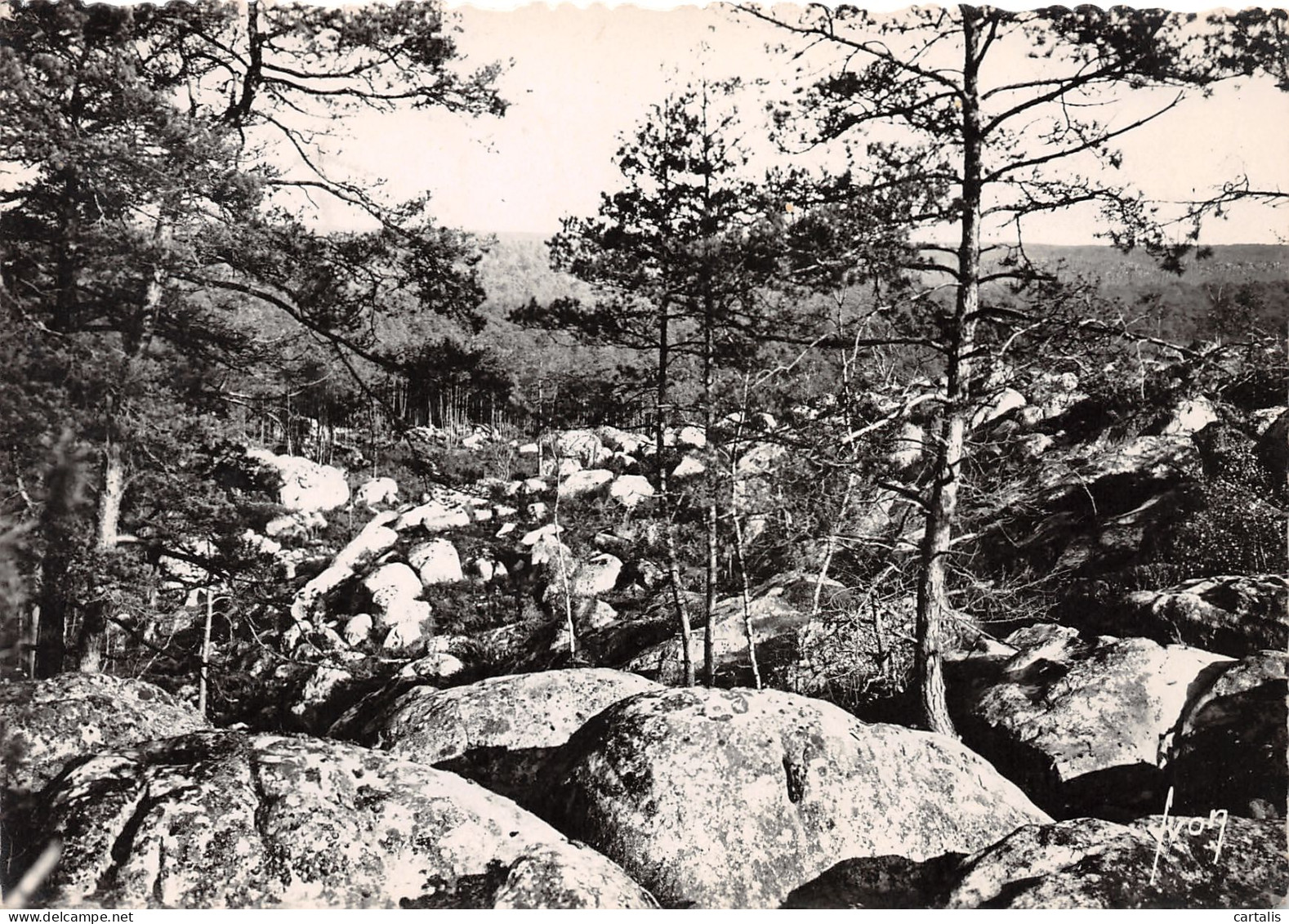 77-FONTAINEBLEAU-N°3777-B/0043 - Fontainebleau