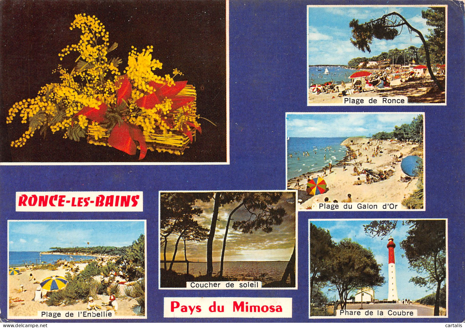 17-RONCE LES BAINS-N°3778-A/0213 - Otros & Sin Clasificación