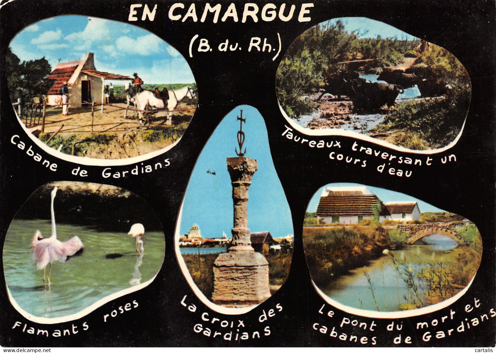 13-CAMARGUE-N°3778-A/0199 - Andere & Zonder Classificatie