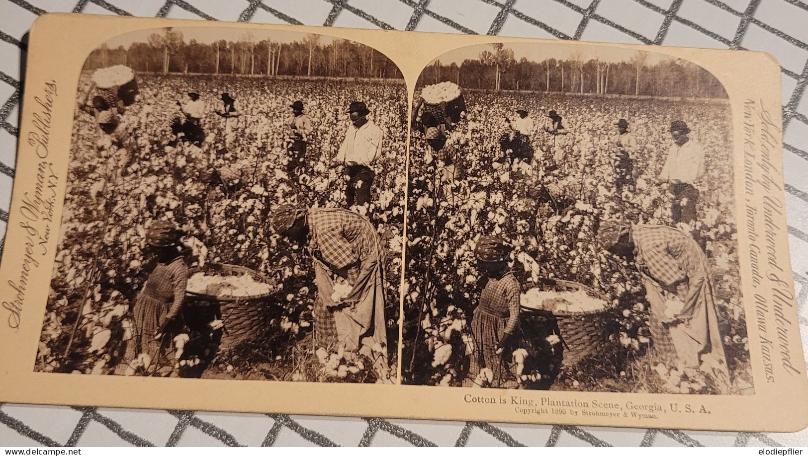 Le Coton Est Roi. La Vue D'une Plantation, Georgie, Etats Unis. Underwood Stéréo - Visionneuses Stéréoscopiques