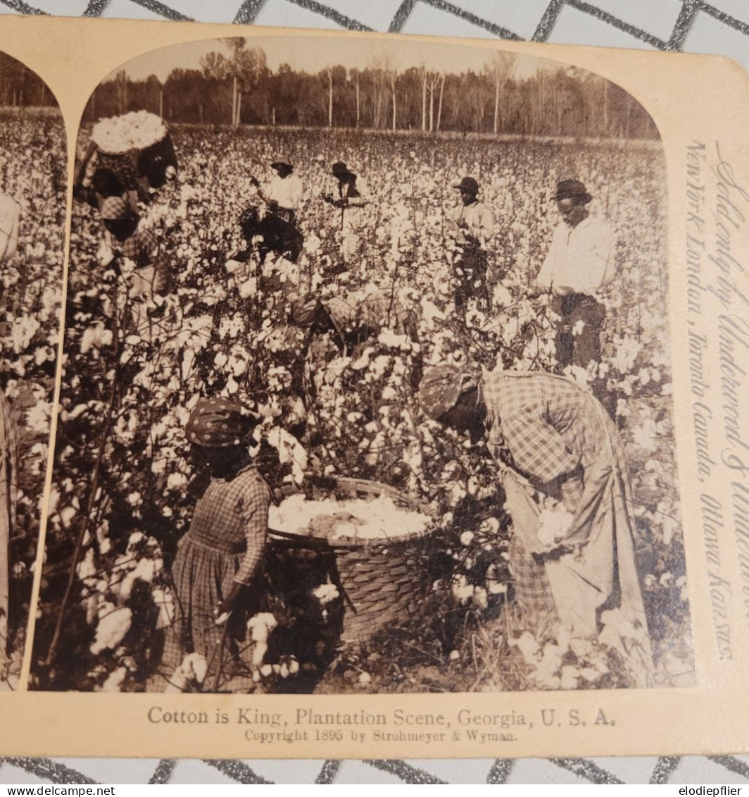 Le Coton Est Roi. La Vue D'une Plantation, Georgie, Etats Unis. Underwood Stéréo - Stereoscoopen