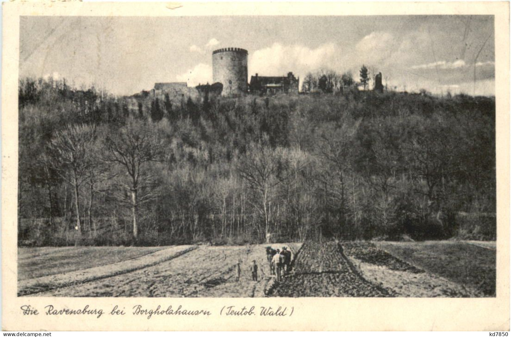 Die Ravensburg Bei Borgholzhausen - Gütersloh