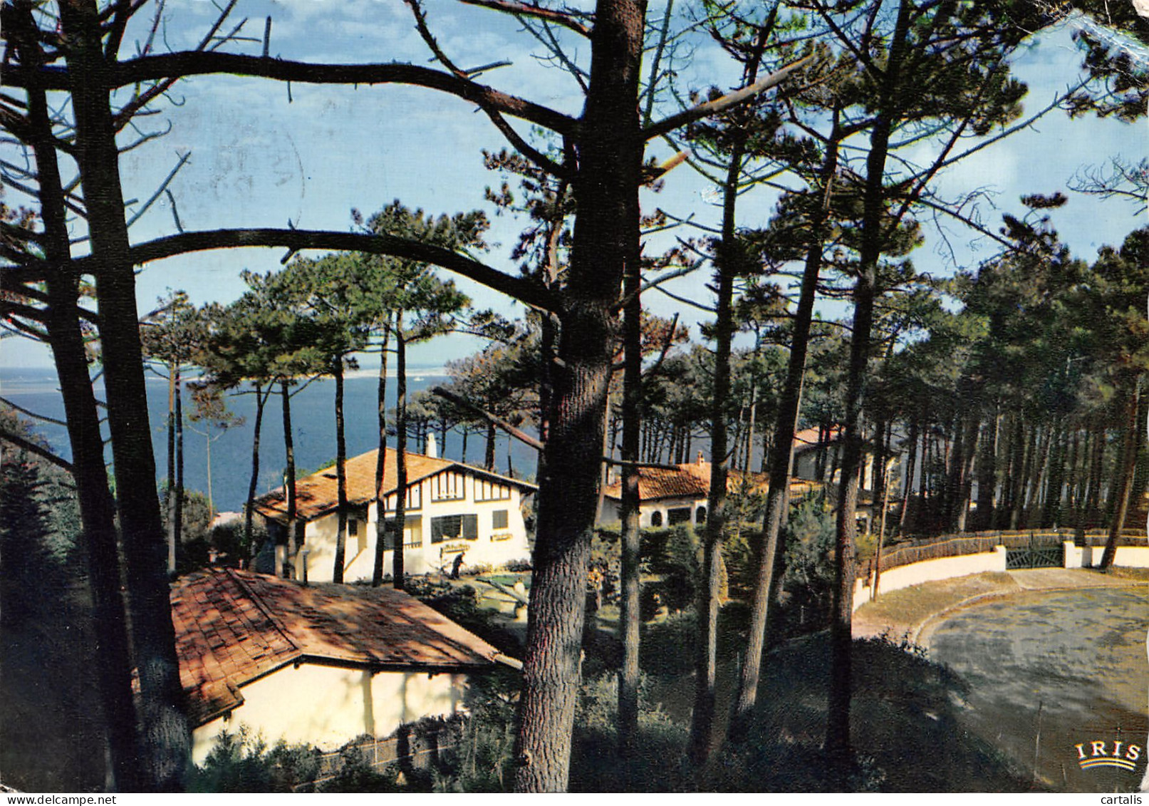 33-BASSIN D ARCACHON-N°3778-C/0199 - Andere & Zonder Classificatie