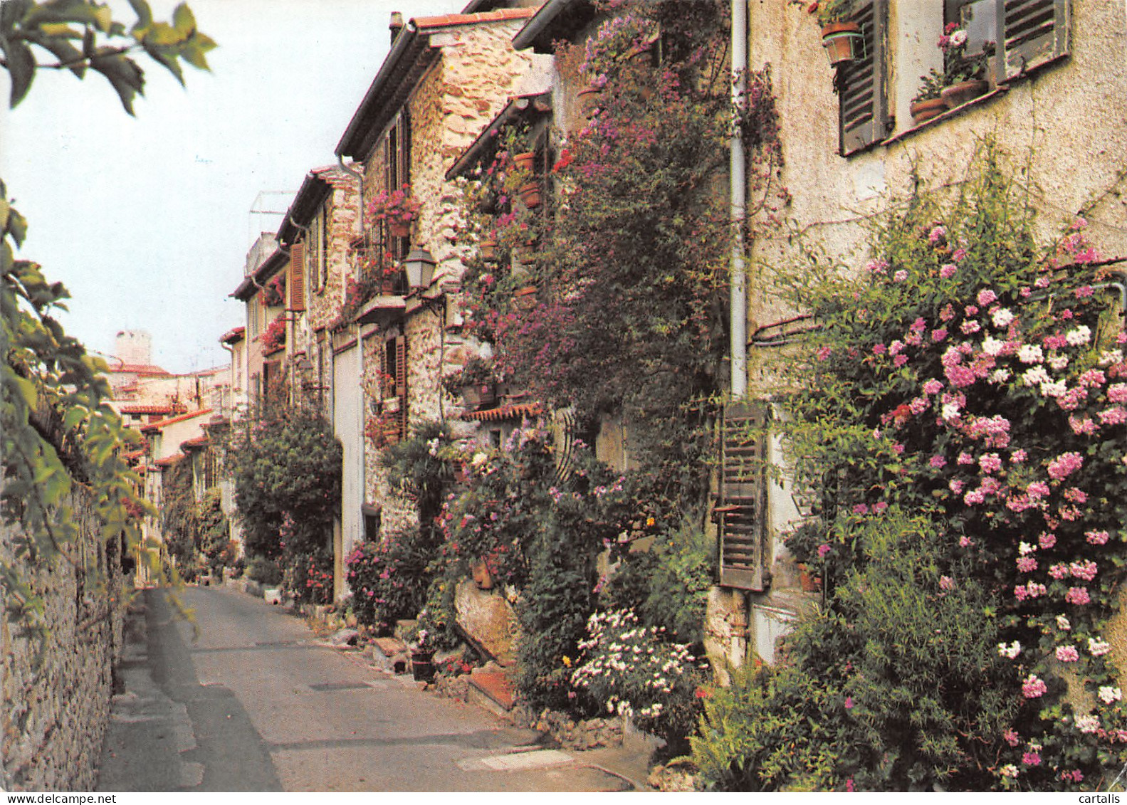 06-ANTIBES-N°3778-C/0187 - Autres & Non Classés