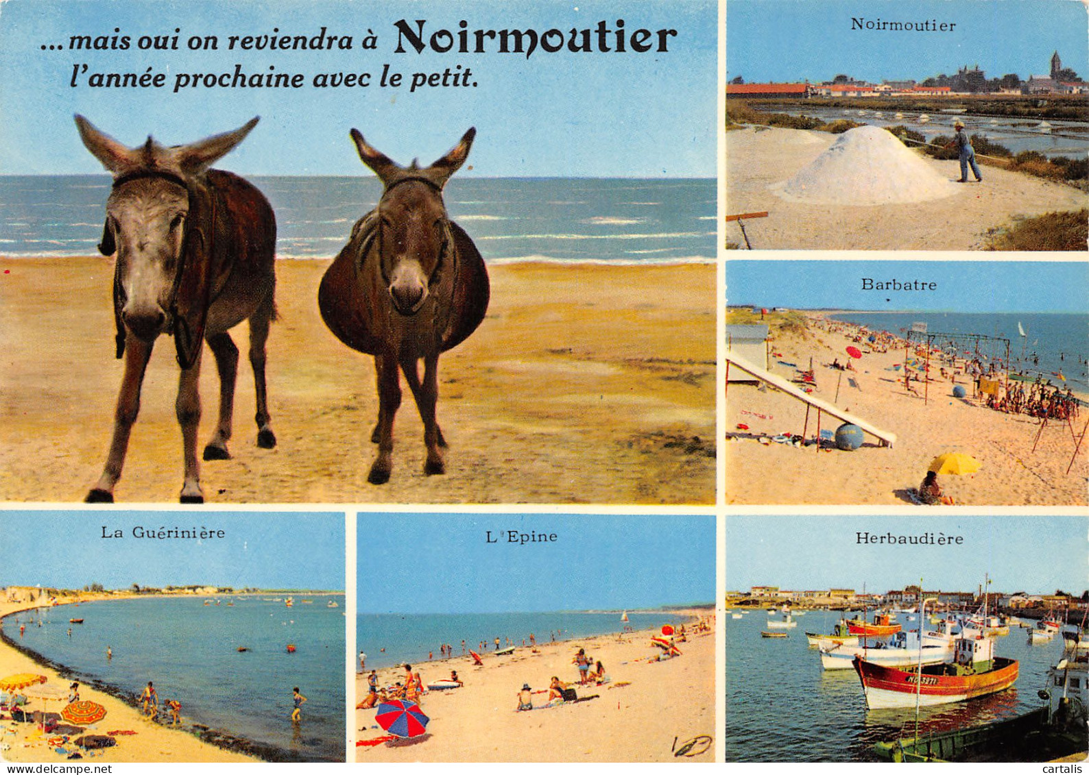 85-NOIRMOUTIER-N°3778-C/0045 - Noirmoutier