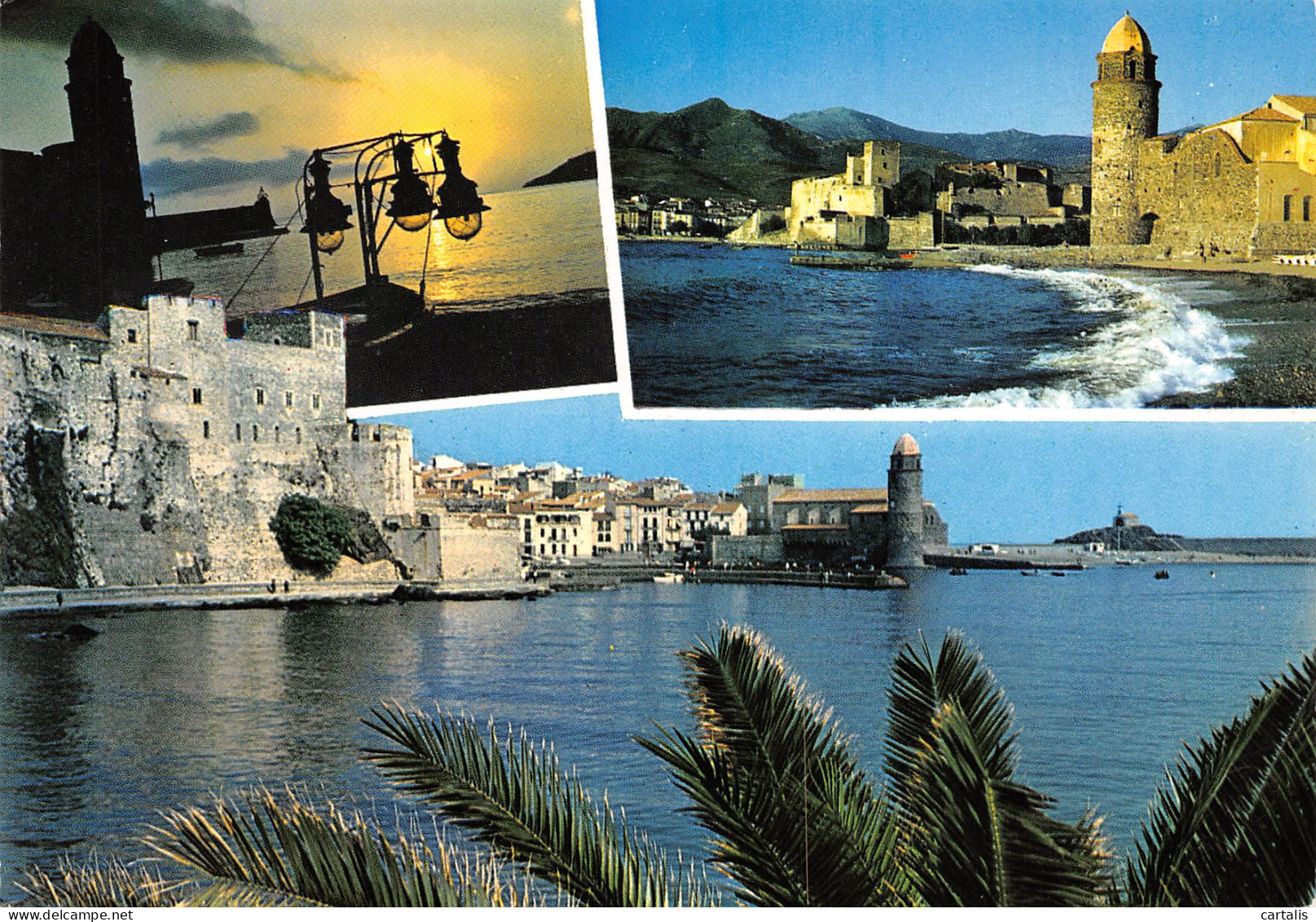 66-COLLIOURE-N°3778-B/0097 - Collioure