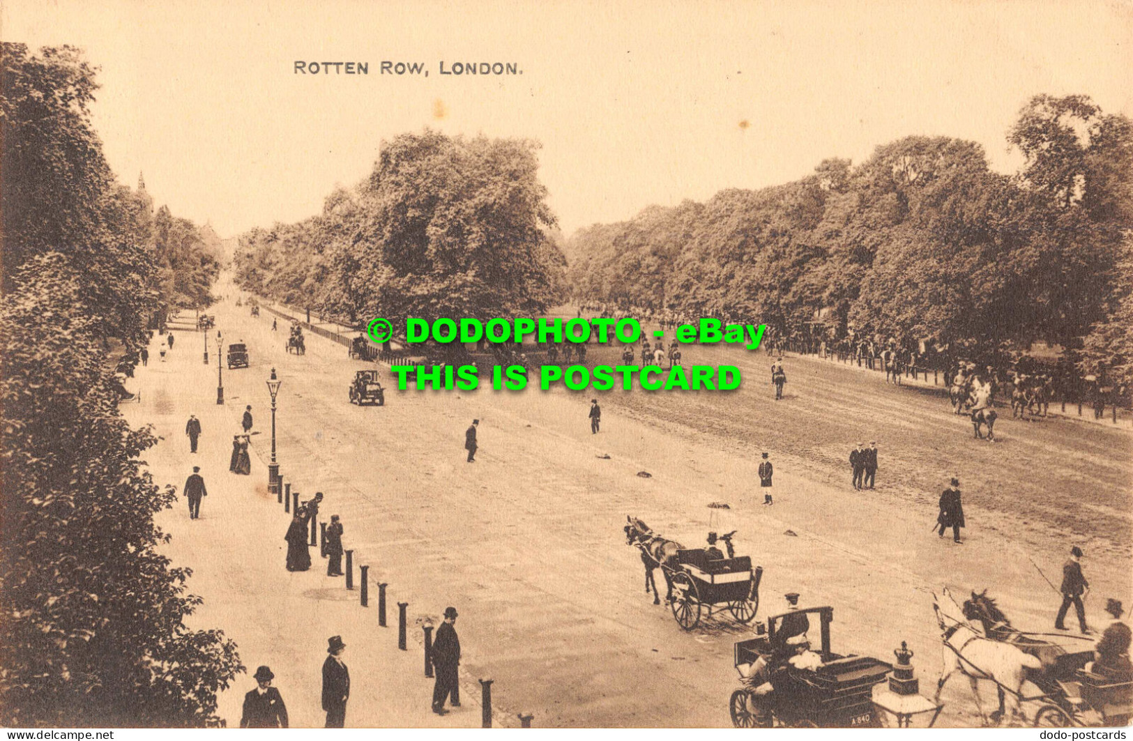R531276 Rotten Row. London. Series No. 12 - Other & Unclassified