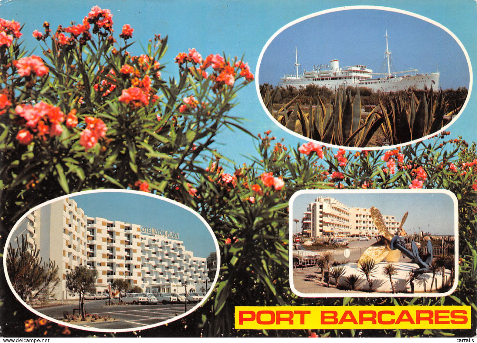 66-PORT BARCARES-N°3779-C/0323 - Port Barcares