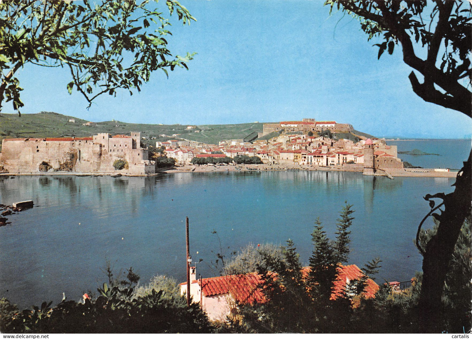 66-COLLIOURE-N°3779-C/0275 - Collioure