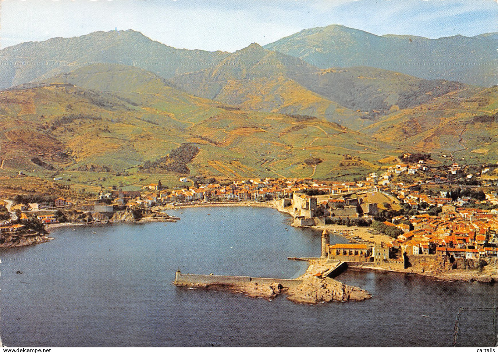 66-COLLIOURE-N°3779-C/0267 - Collioure