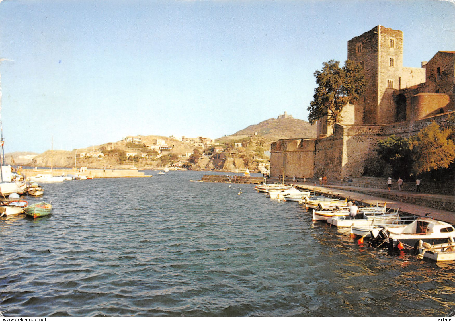 66-COLLIOURE-N°3779-C/0245 - Collioure