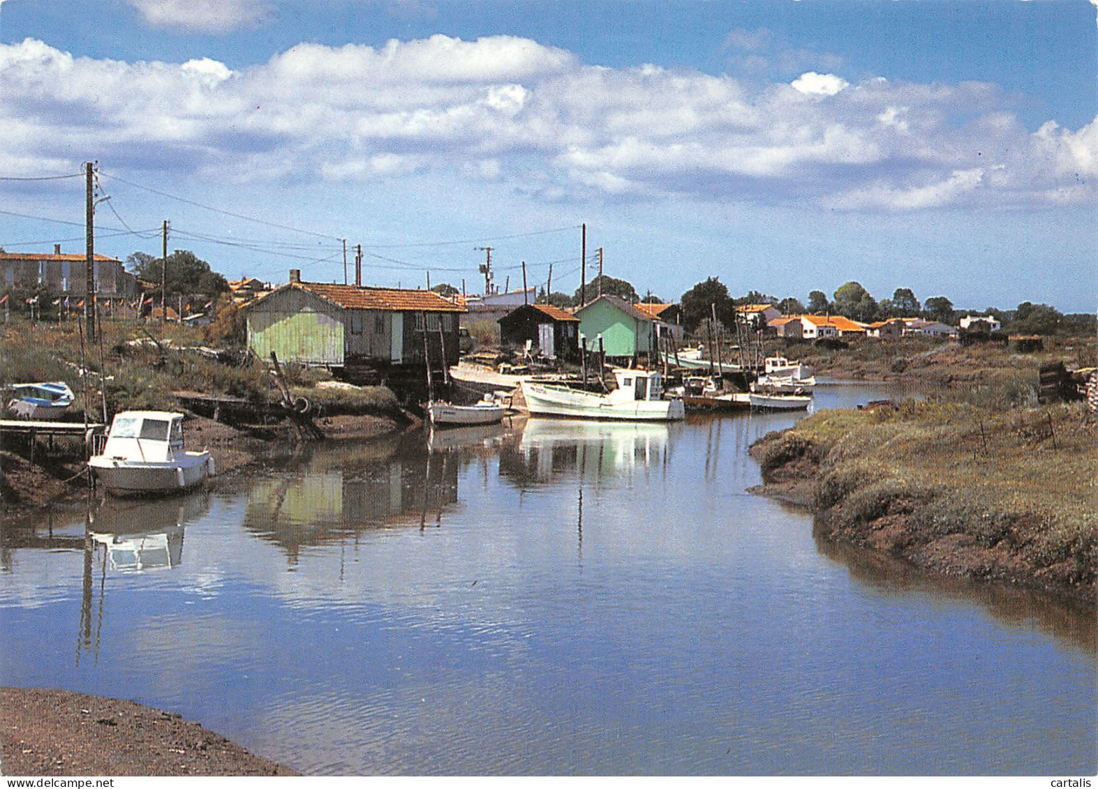 17-MORNAC SUR SEUDRE-N°3779-C/0037 - Autres & Non Classés