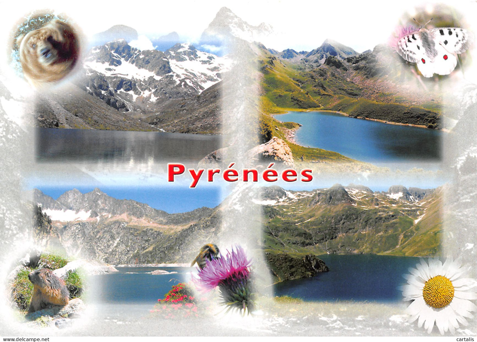 65-PYRENEES-N°3779-B/0243 - Other & Unclassified