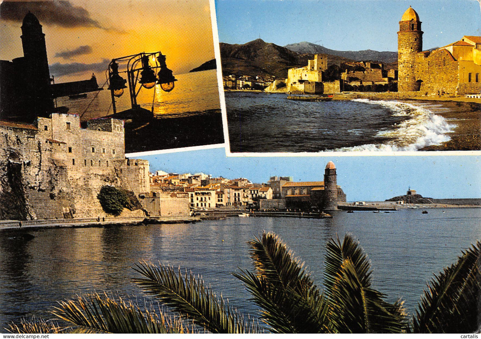 66-COLLIOURE-N°3779-B/0131 - Collioure