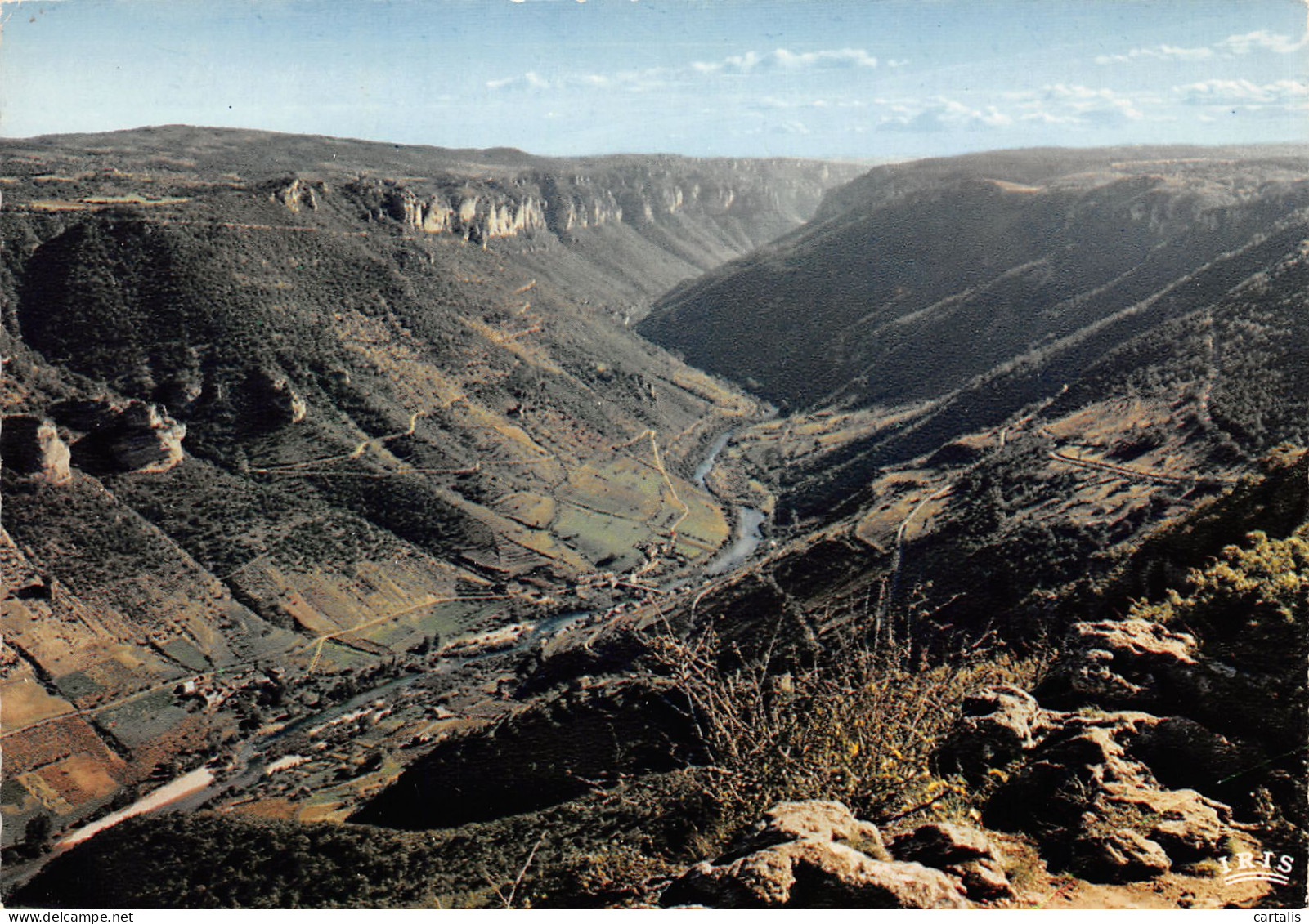 48-GORGES DU TARN-N°3779-B/0069 - Gorges Du Tarn