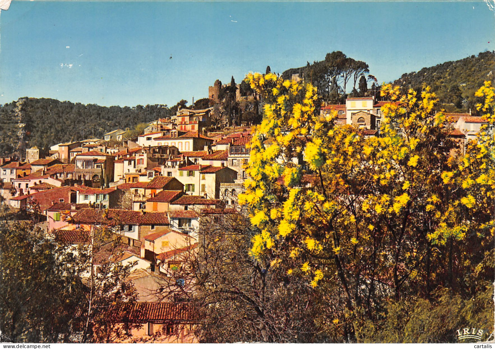 83-BORMES LES MIMOSAS-N°3780-B/0023 - Bormes-les-Mimosas