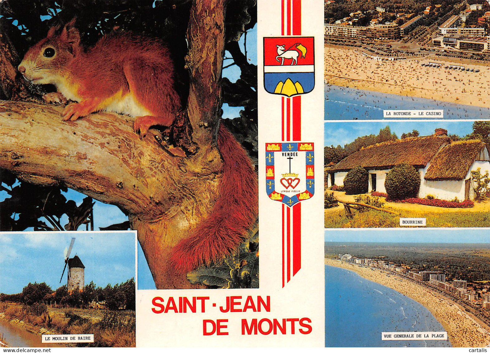 85-SAINT JEAN DE MONTS-N°3780-A/0387 - Saint Jean De Monts