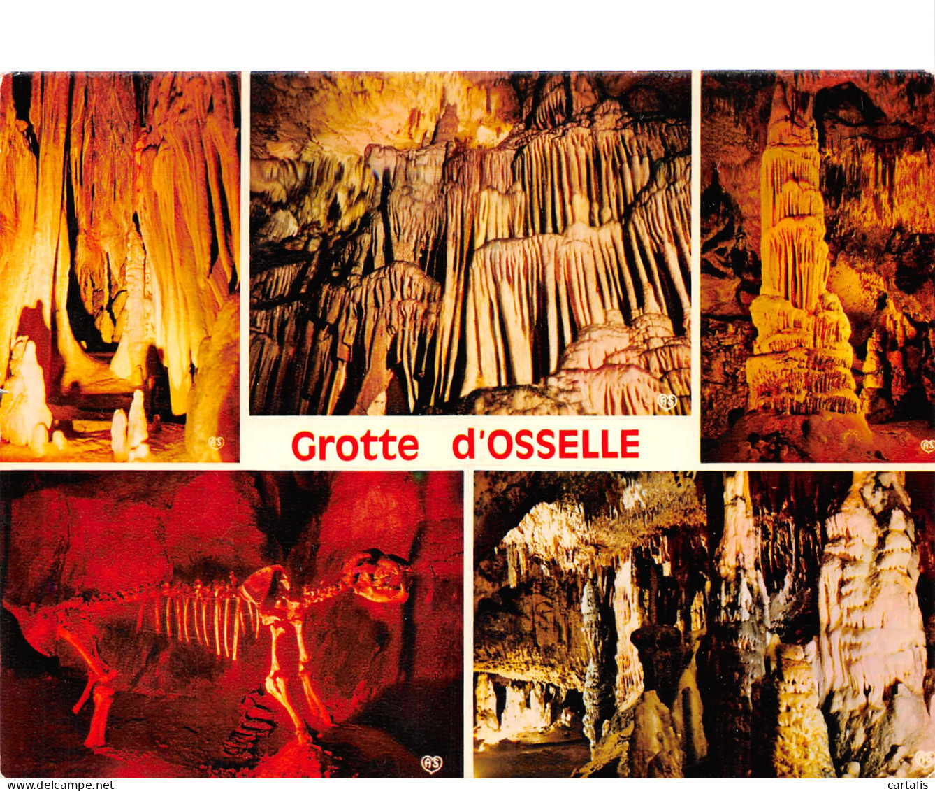 25-GROTTE D OSSELLE-N°3780-A/0211 - Andere & Zonder Classificatie