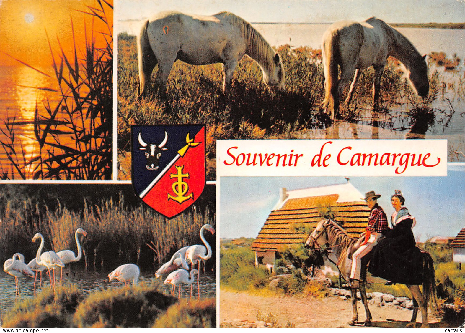 13-LA CAMARGUE-N°3780-A/0153 - Other & Unclassified